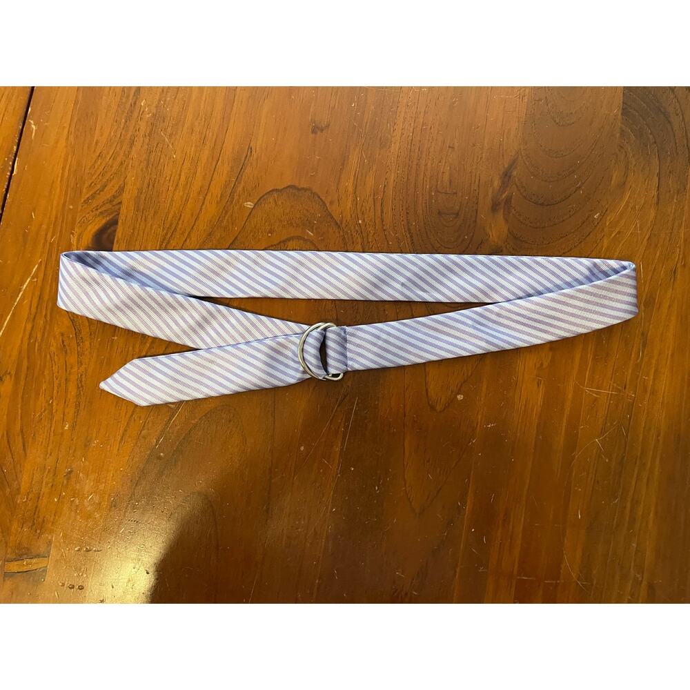 Diagonal Stripe 2006 Double D-Ring Buckle Belt Purple Blue 2000's